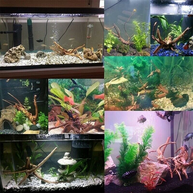 Natural Aquarium Driftwood Roots Branches Bonsai Moss Tree for Fish Decoration