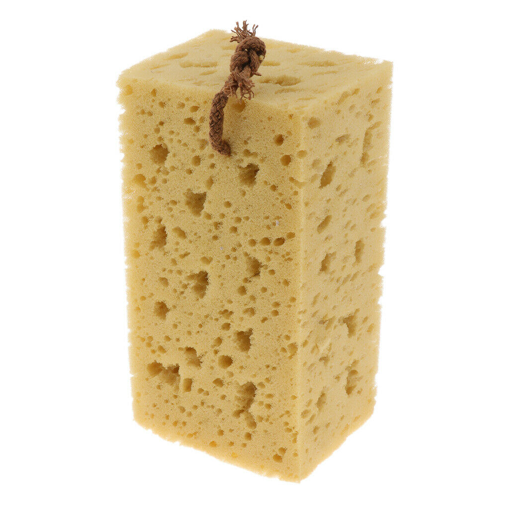 Macroporous Honeycomb Sponge Car Coral Cleaning Washing Spongnia