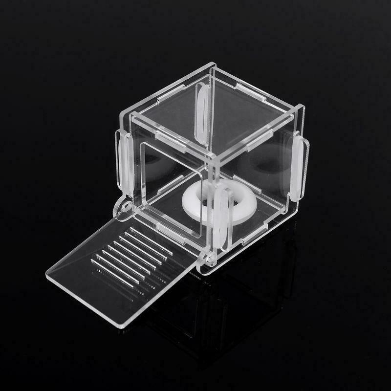Ant Nest Glass Tube Mini Ant Nest with Active Zone Insect House Acrylic Ant Farm