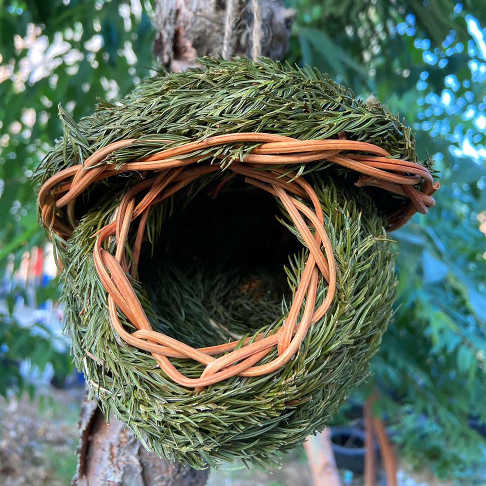 Bird Nest Natural Grass Weaved Eggs Cage Outdoor Decorative Hanging Parrot House