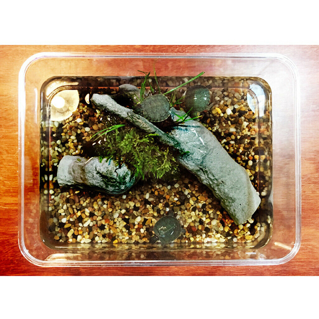 Tree Branch Turtle Reptile Lizard Tortoise Basking Platform Resting & Play Shelf