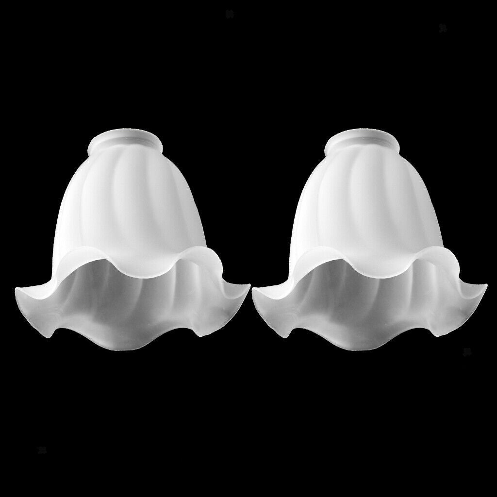 2Pcs Ceiling Light Shade Suitable for Chandelier, Ceiling Lamp, Wall Lamp