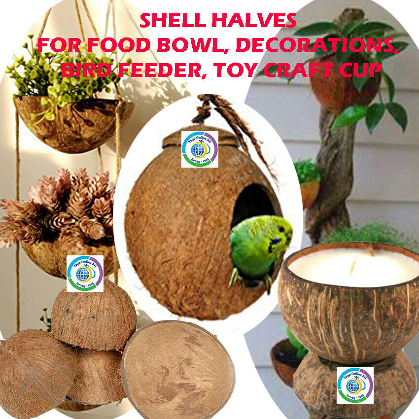 Coconut Shell Bird Nest House Hut Cage Feeder Toys For The pet bird is the palac