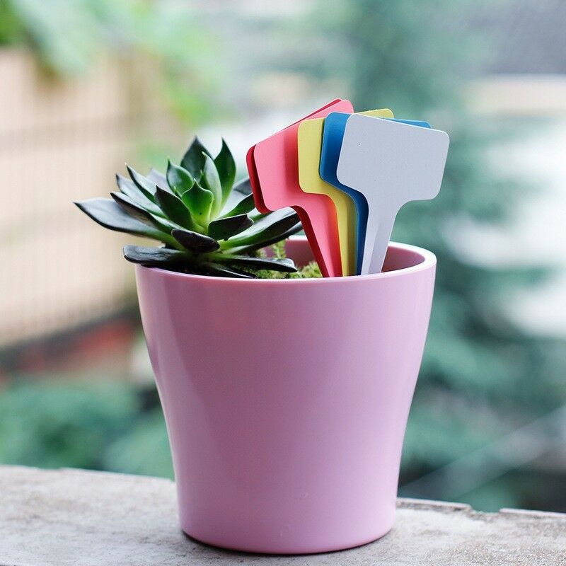 100Pcs Plastic Plant Pot Markers Gardening T-type Stake Tags Nursery Labels