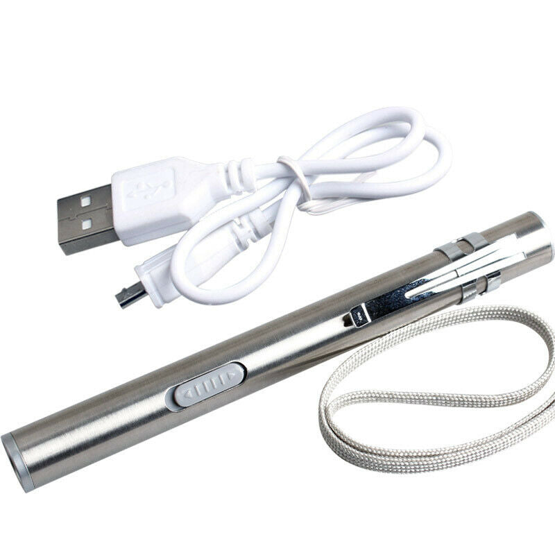 Portable LED Flashlight Pocket LED Lamp USB Rechargeable Stainless Steel Sliver