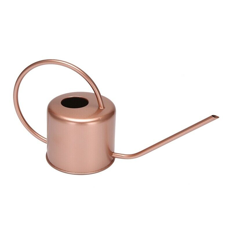 1300Ml Wate Can Metal Garden Stainless Steel for Home Flower Water Bottle EasyO9