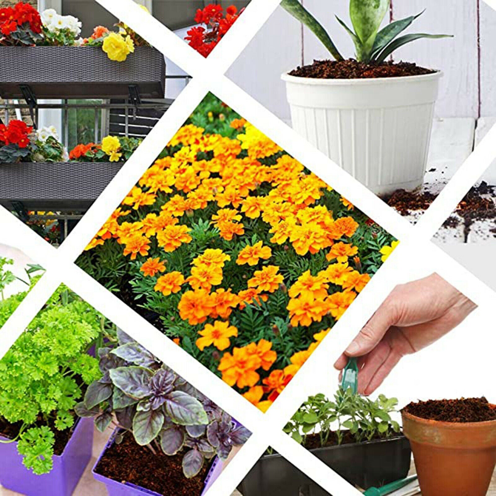 Premium Organic Coco Coir Bricks Fiber Block Soilless Potting Soil Garden