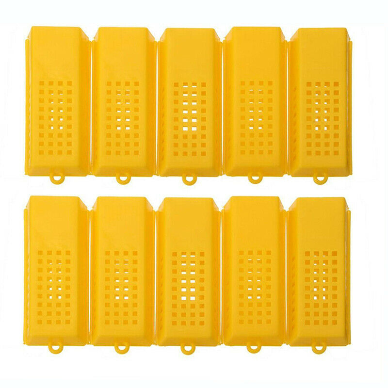 10pcs Extended Queen Bee Butler Cage Catcher Trap Case Plastic Beekeeping Tools