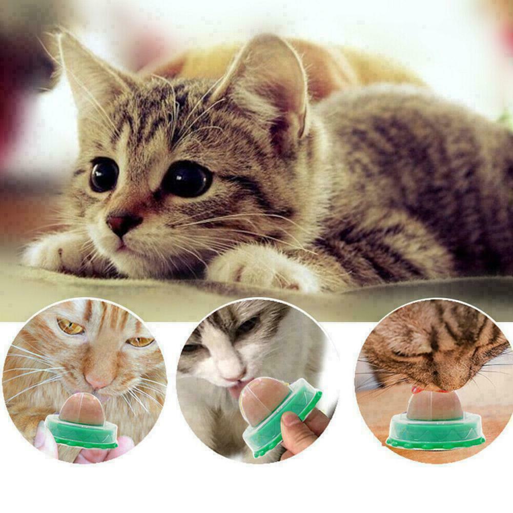 Pets Licking Fun Cat Candy Kitten Licking Toys Various Catnip K4O4 Of new