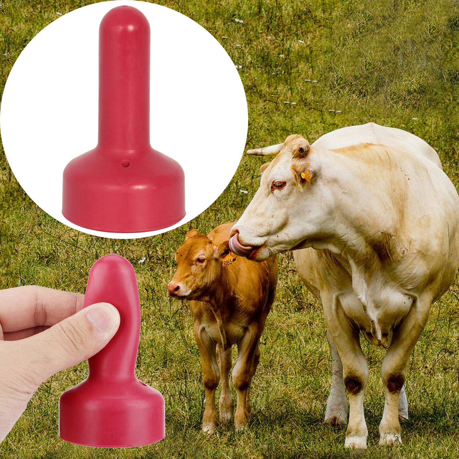 Livestock Nipple for Cattle Lamb Pony Farm Animal Bucket Tools 10.7x6.2cm