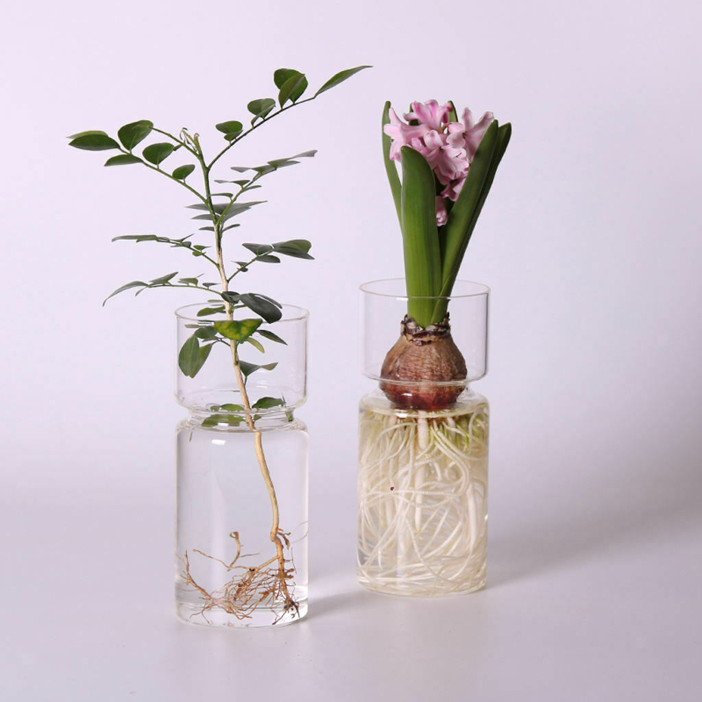 4pcs Hyacinth Glass Hydroponic Vase Landscape Bottle Flower Plant Pot