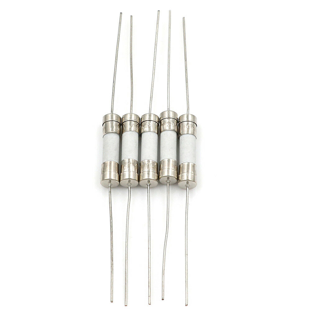 5Pcs 10A 250V ceramic body time-lag axial lead fuse for lcd-tv etc 5*20mm B WF