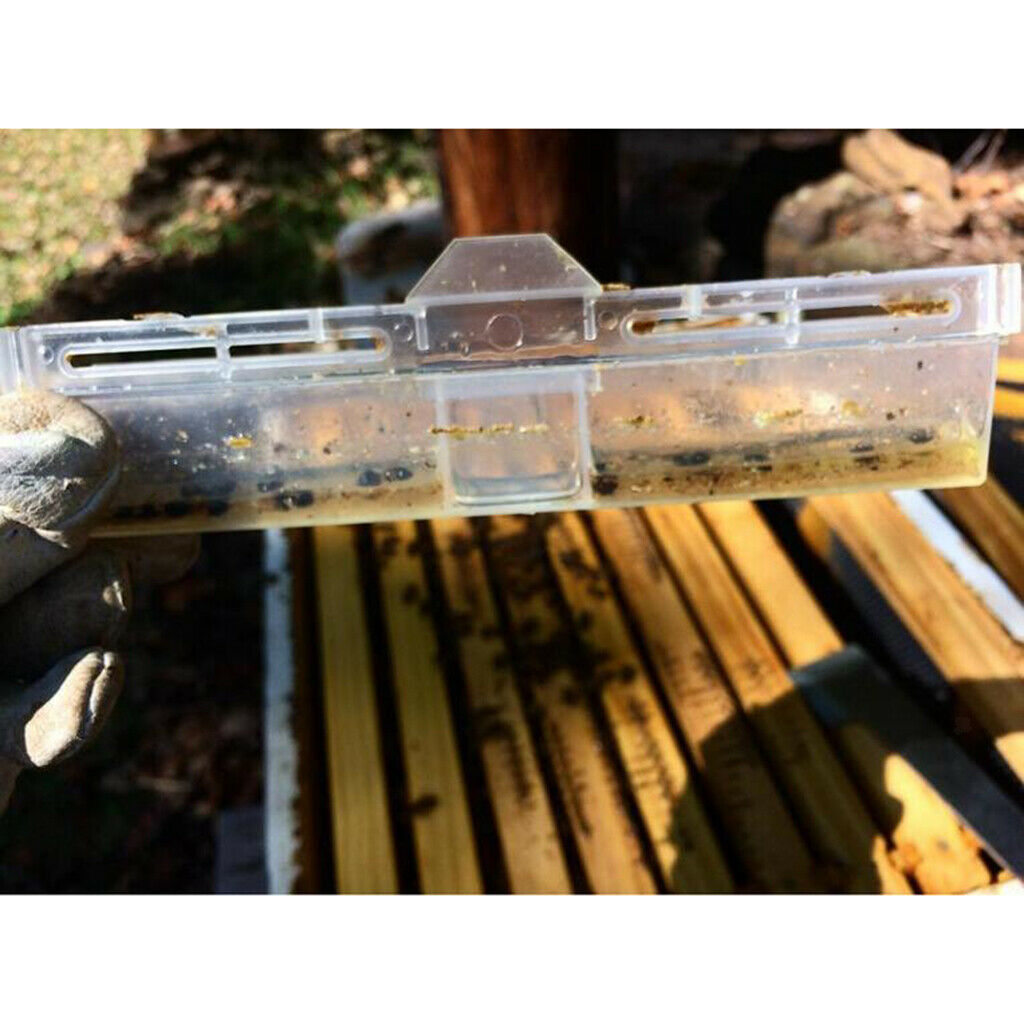 Clear Beetle Traps Baitable Reuse Beekeeping Tools Supply Friendly 17x3cm