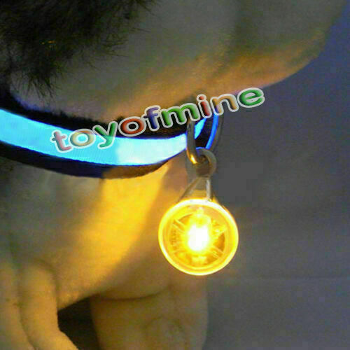 5XChic Fabulous Pet Dog Cat Puppy LED Flashing Collar Safety Night Light Pendant