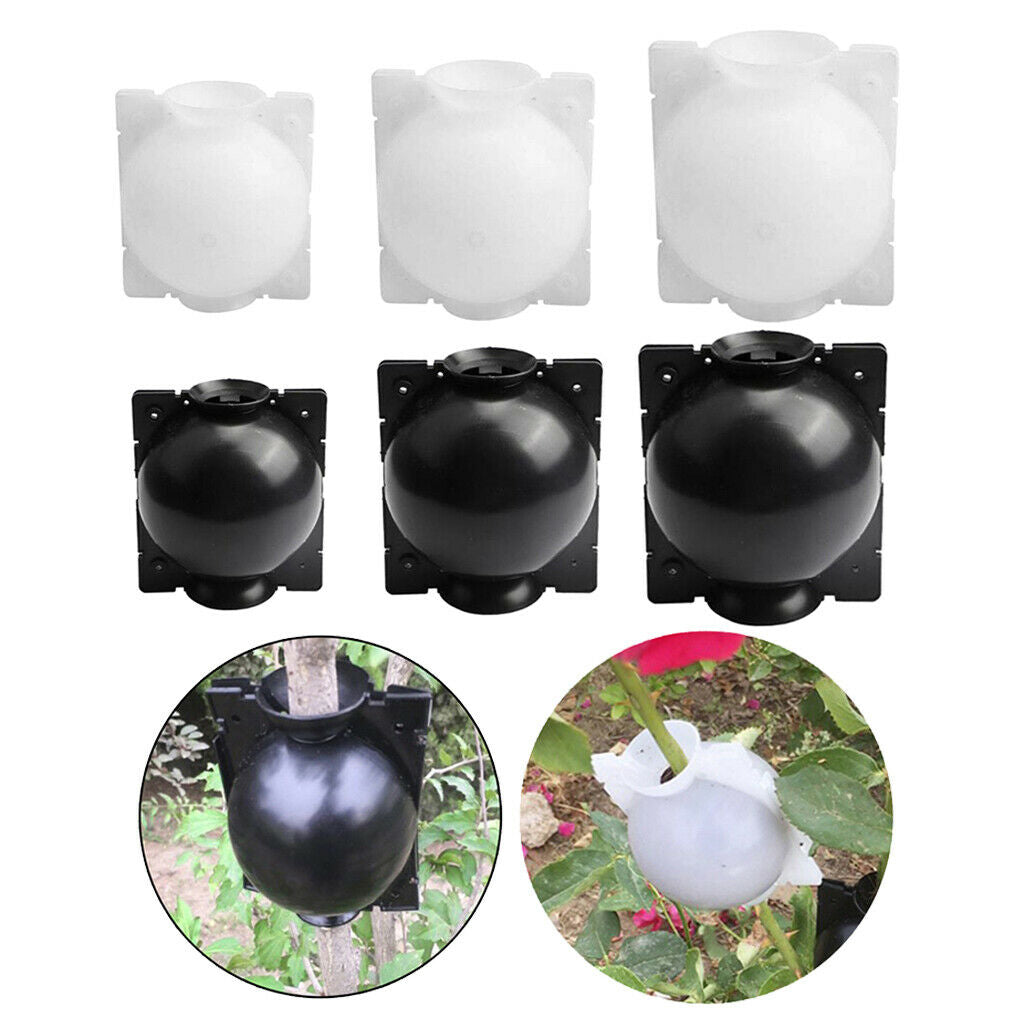6pcs Reusable Plant Rooting Box Case Plant Rooting Device Propagation Ball