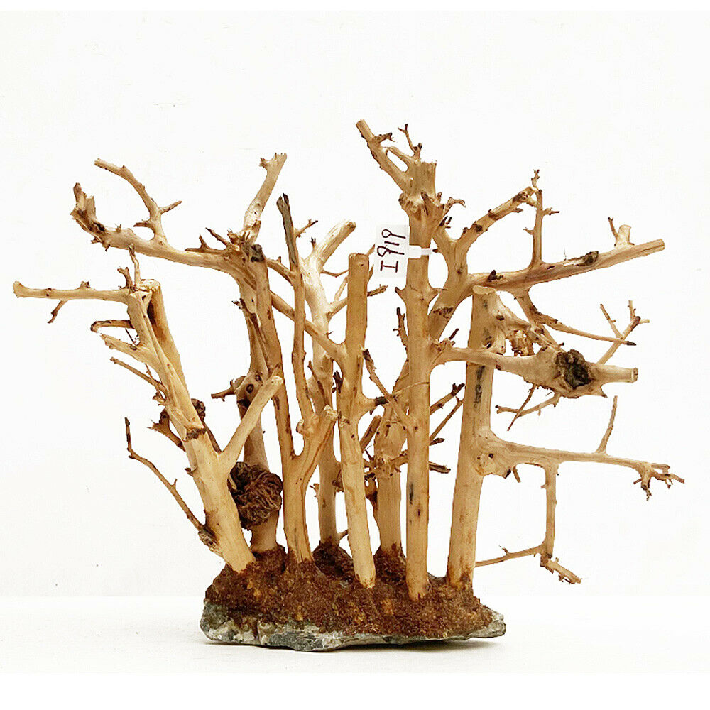 Small Forest Skeleton Wooden Branchâ€‹ Fish Tank Aquarium Landscape Ornament Decor