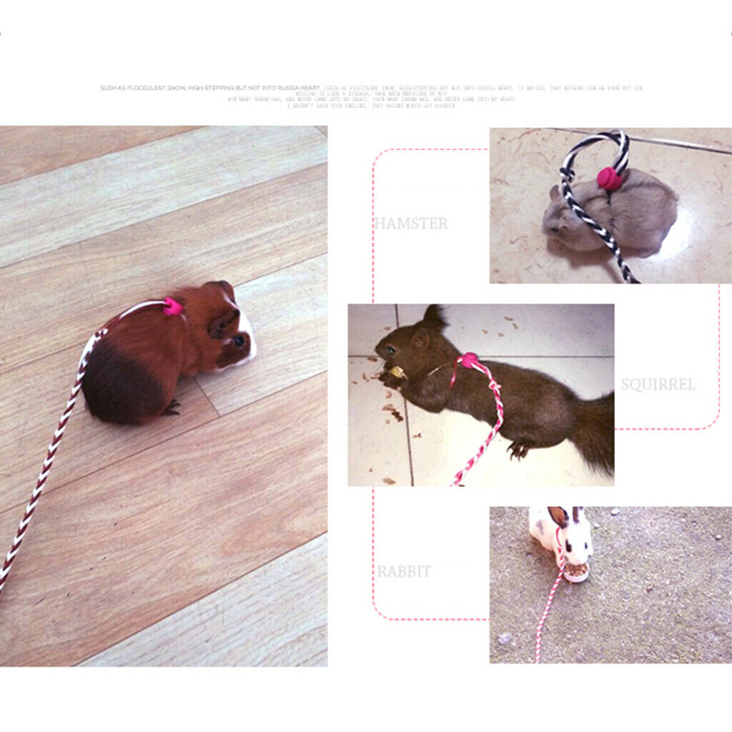 Adjustable Cotton Leashes Ferret Harness/Rabbit/Rat Leash Lead Traction Rope