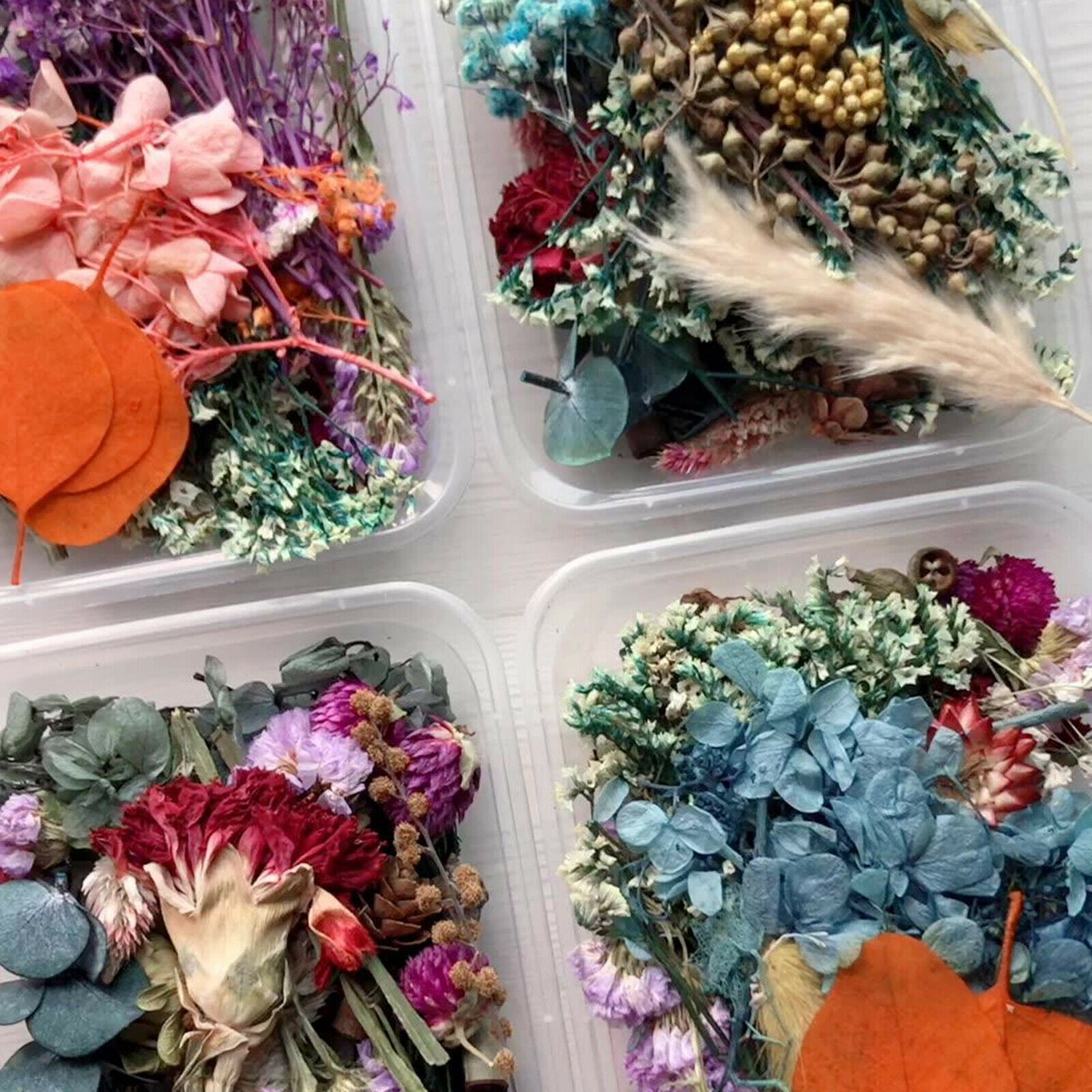1Box â€‹â€‹Mixed Dried Flowers Leaves Jewelry Crafts DIY Phone Cover