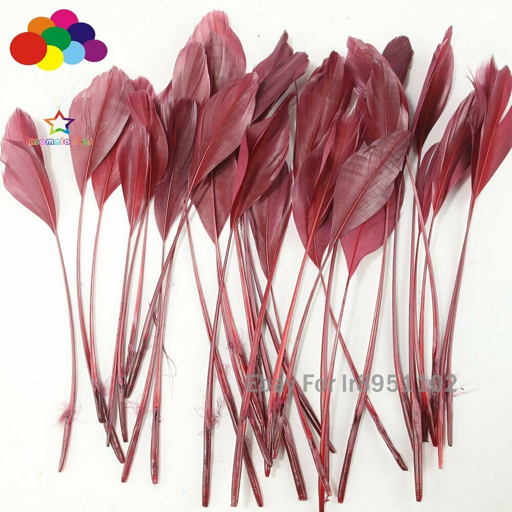 100pcs winered 15-20cm Stiff Stripped Goose Feather QUILL Craft feathers jewelry