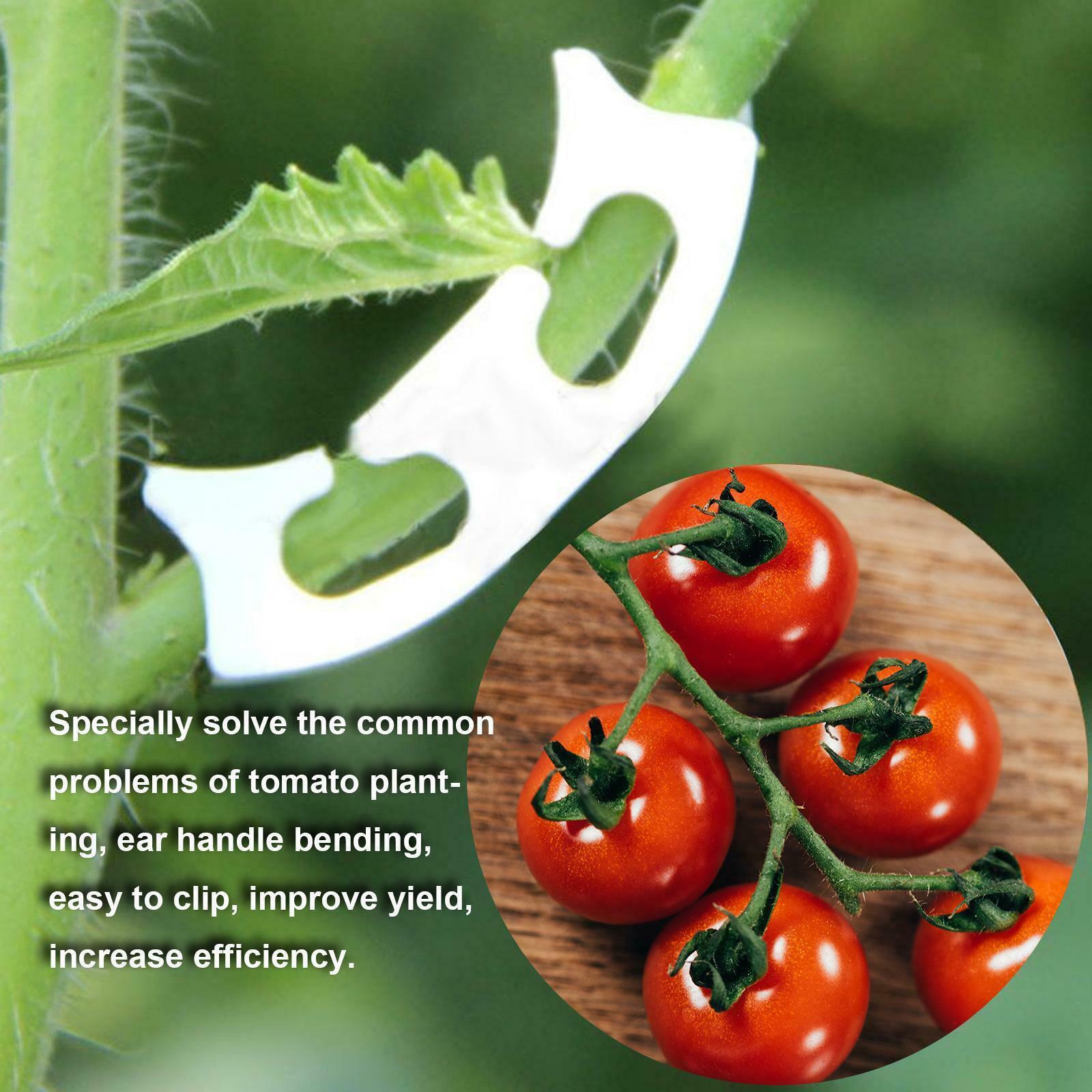 100x Vegetables Tomato Fixing Clips Prevent Bending Support Clamp for Garden