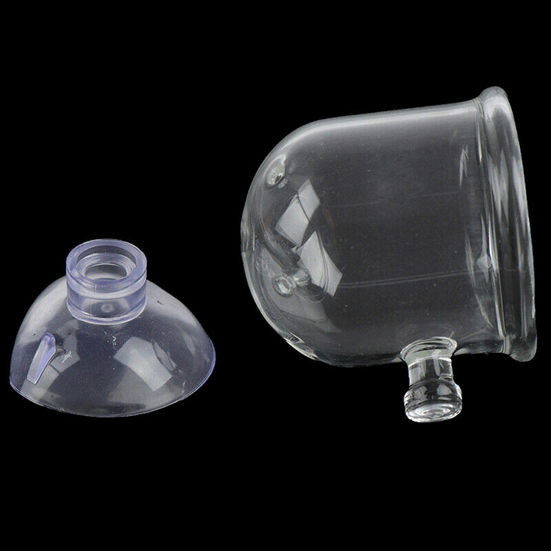 Pinhole Pot Plant Feeding Cup Holder Shrimp Aquarium Fish Tank Aquatic Fe.l8
