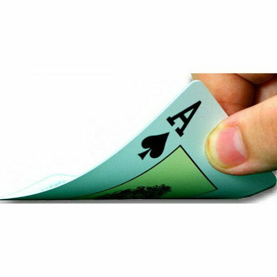 Free   100% PLASTIC Poker Size Good Playing Cards New