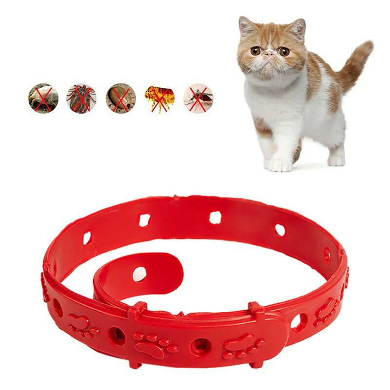Cat Anti Flea Mite Tick Collar No Flea Grooming Tool Quadruple Removal Fle Pb
