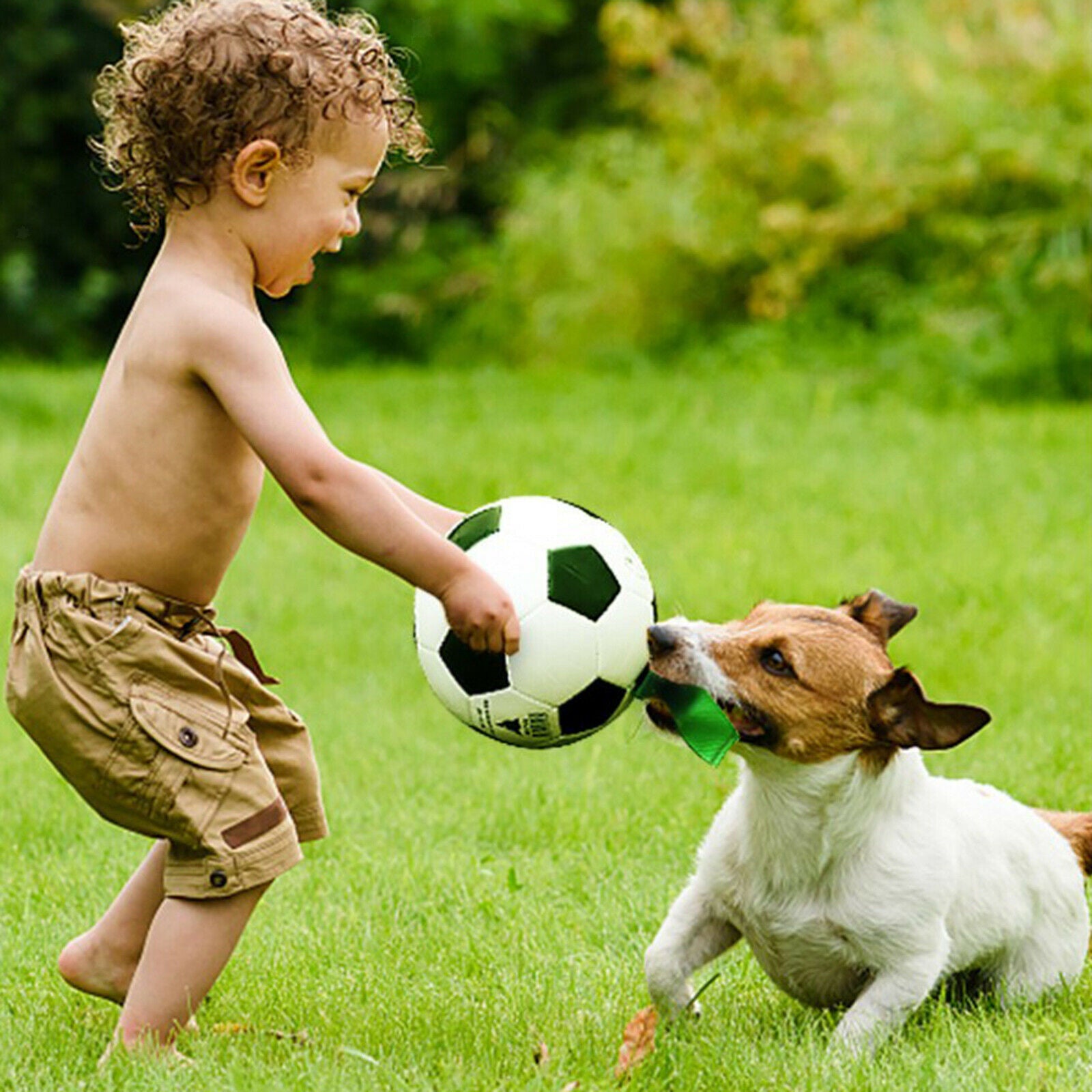 Fun Dog Soccer Exercise Interactive Fetch Ball for Lawn Grassland Pool Toys
