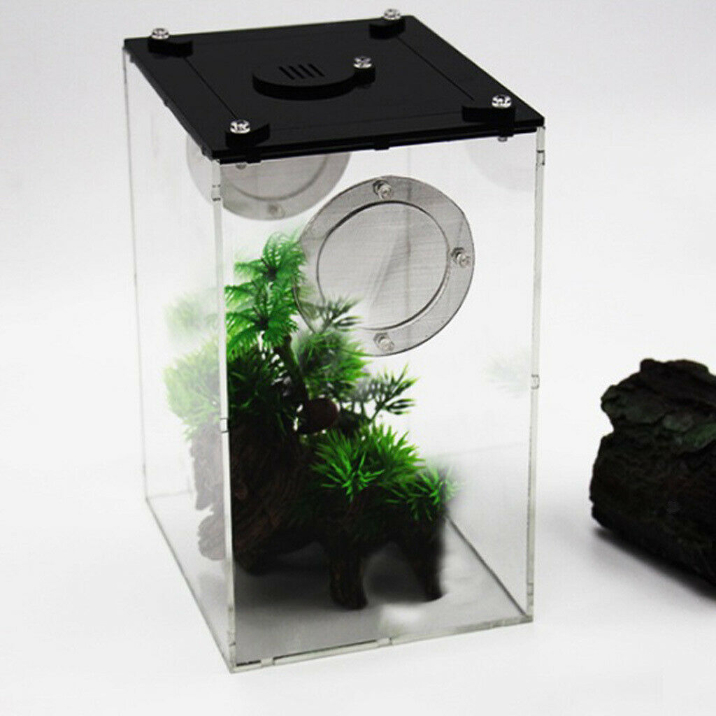 Acrylic Reptile Terrariums Plant Feeding Tank Lizard Breeding Box Reptiles