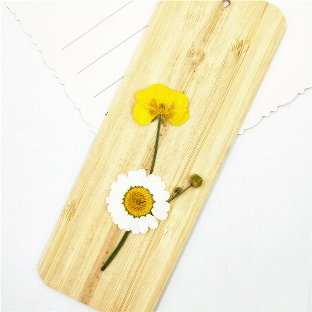16pcs Natural Pressed Leaves Dried Flowers Plant Specimen Filler for