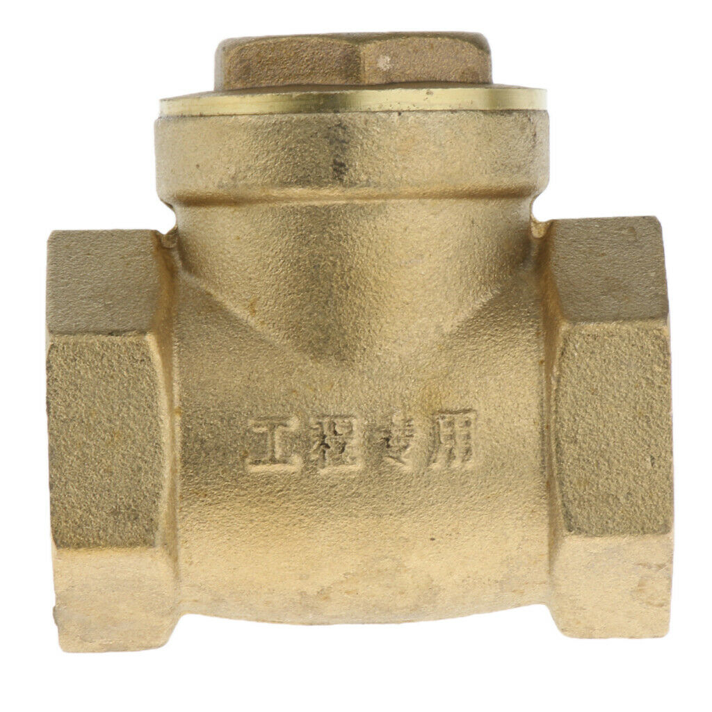 High pressure backflow preventer 1 '' internal thread DN25 one-way check valve