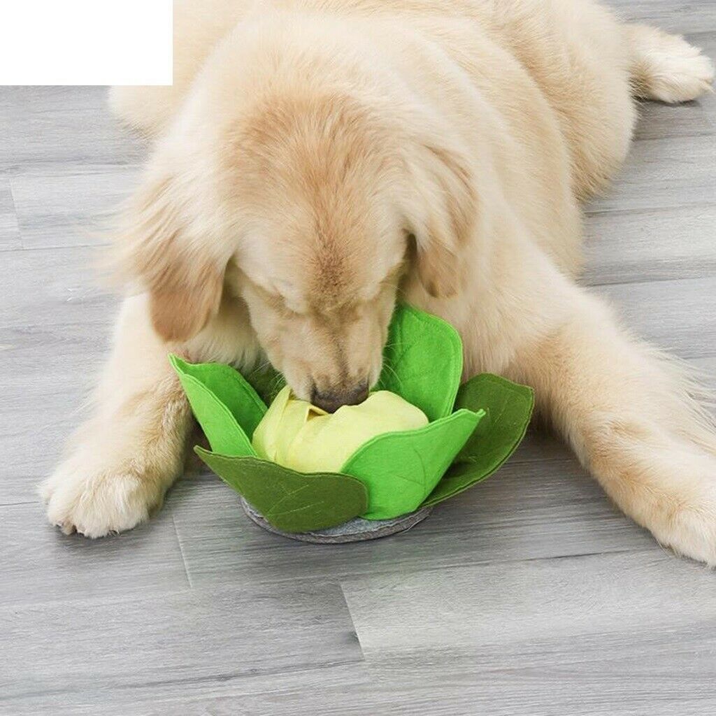 Pet Snuffle Mat for Dogs Interactive Feed Game for Dogs Bowl Dog Puzzle Toys