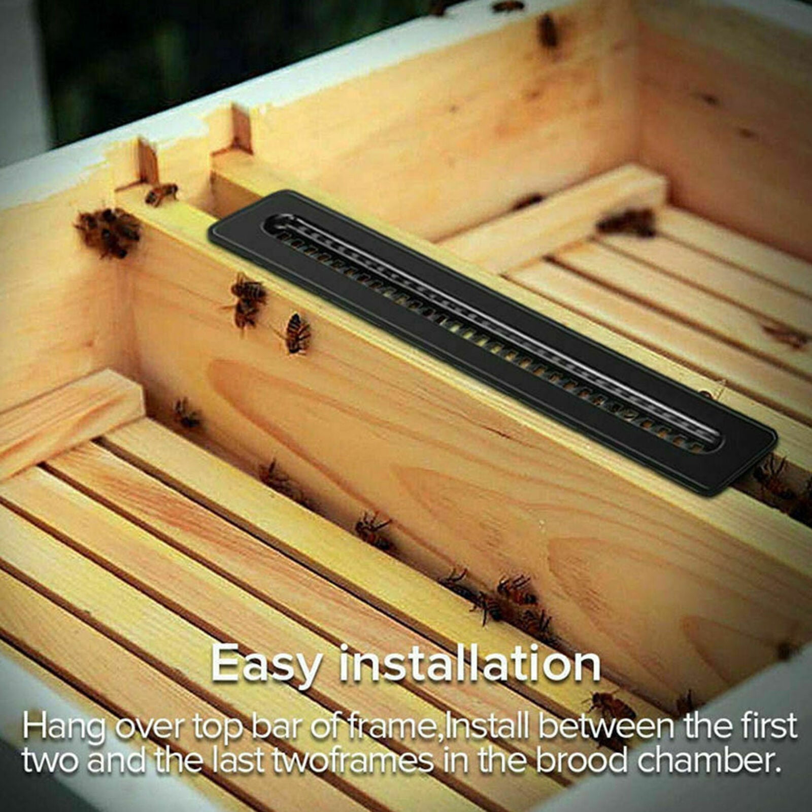 20pcs Black Small Bee Hive Beetle Blaster BeeHive Beetle Trap Beekeeping Tool