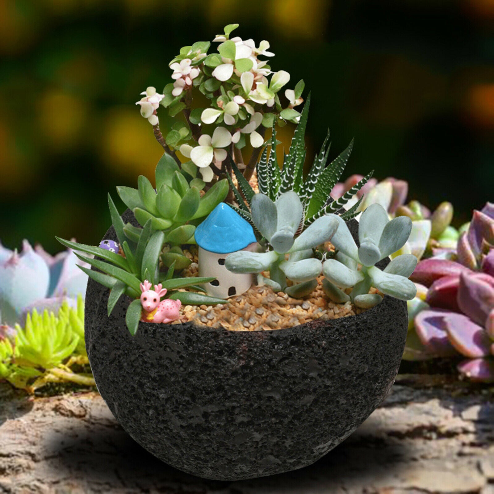 Flower Pot Succulent Planters Succulent Pots Office Home Garden