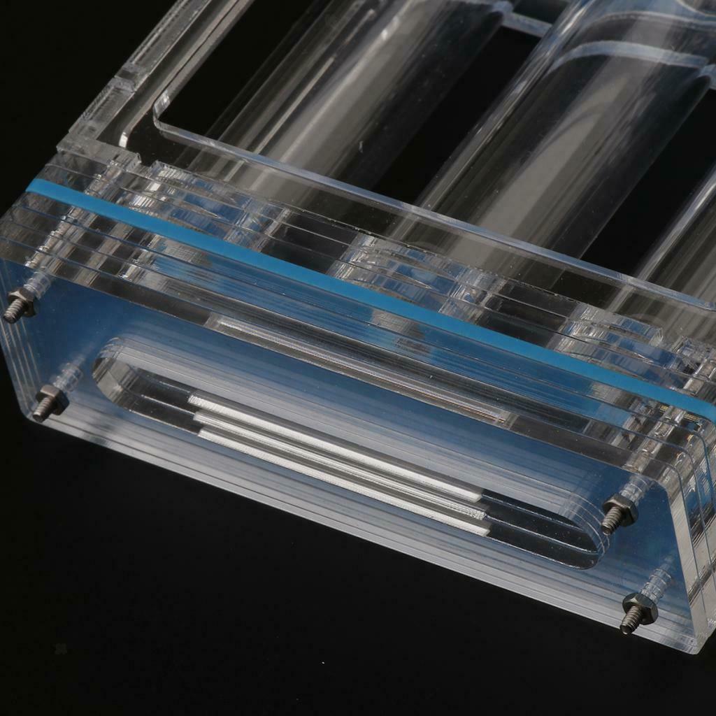 1pc Ant Nest Housing Ant Farm Box Formicarium Display Case Small Large Ant