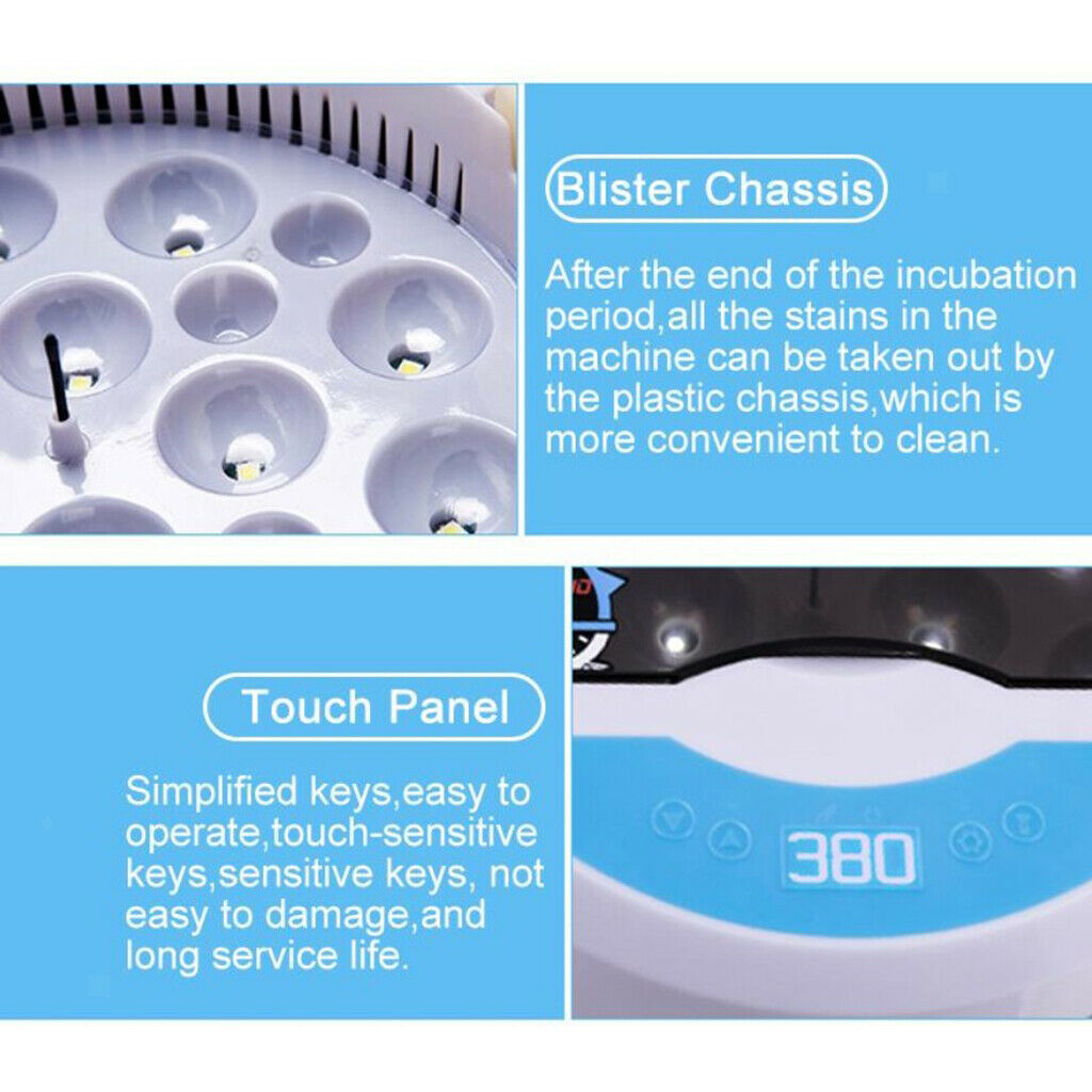 Digital Mini Fully Automatic Egg Incubator with Low Noise Ceramic heater, 9 Eggs