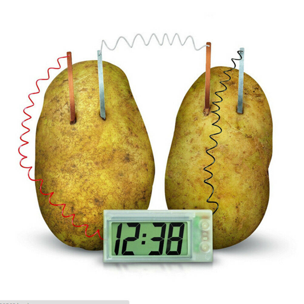 Potato Clock Novel Green Science Project Experiment Kit Lab Home School To.l8