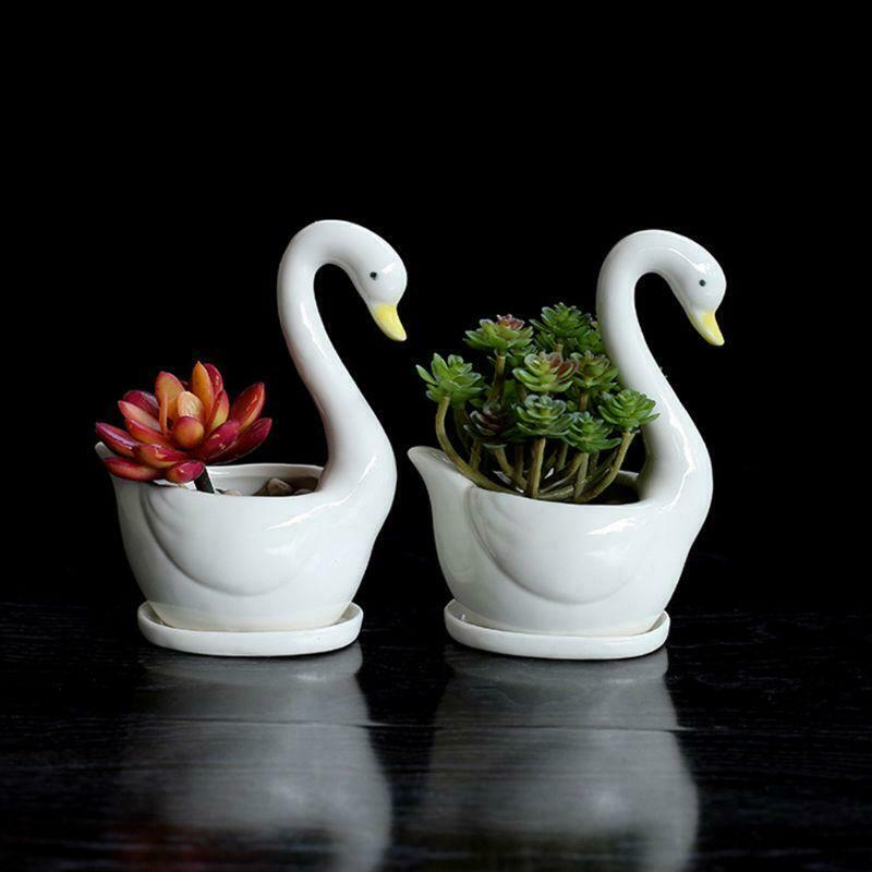 White Swan Ceramic Flower Pot Succulent Plant Flowerpot Planter Desktop  Decor