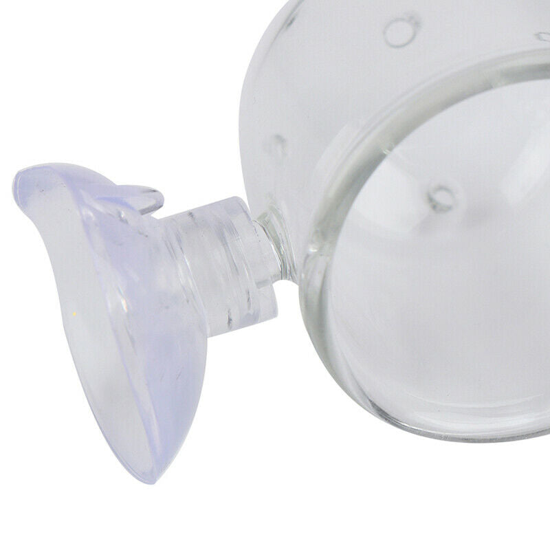 Pinhole Pot Plant Feeding Cup Holder Shrimp Aquarium Fish Tank Aquatic Fe.l8