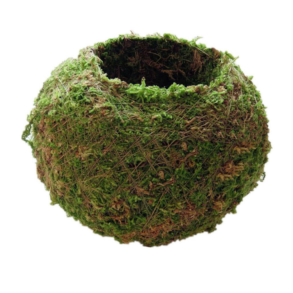 6 x Natural Moss Planting Ball Flower Pot Succulent Pot Garden Ornament 9cm