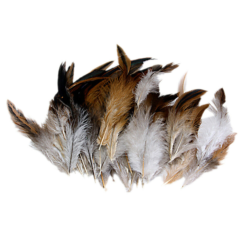 50pcs Natural Rooster Cock Feathers Fascir Costume DIY Sewing Craft 2-6