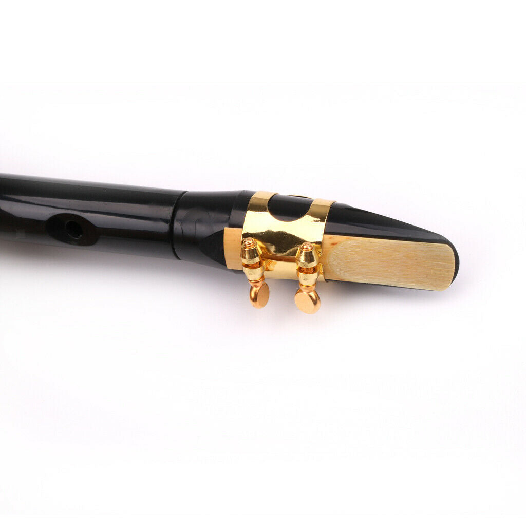 Mini Sax  Saxophone with Bag Transportation Beginner Instrument Gift