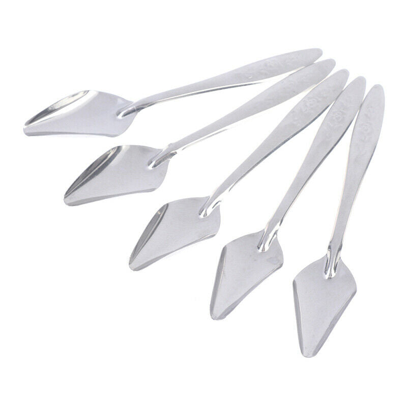 5Pc Baby Bird Pointed Feeding Spoon Stainless Steel Milk Medicine Parrot Fee CH