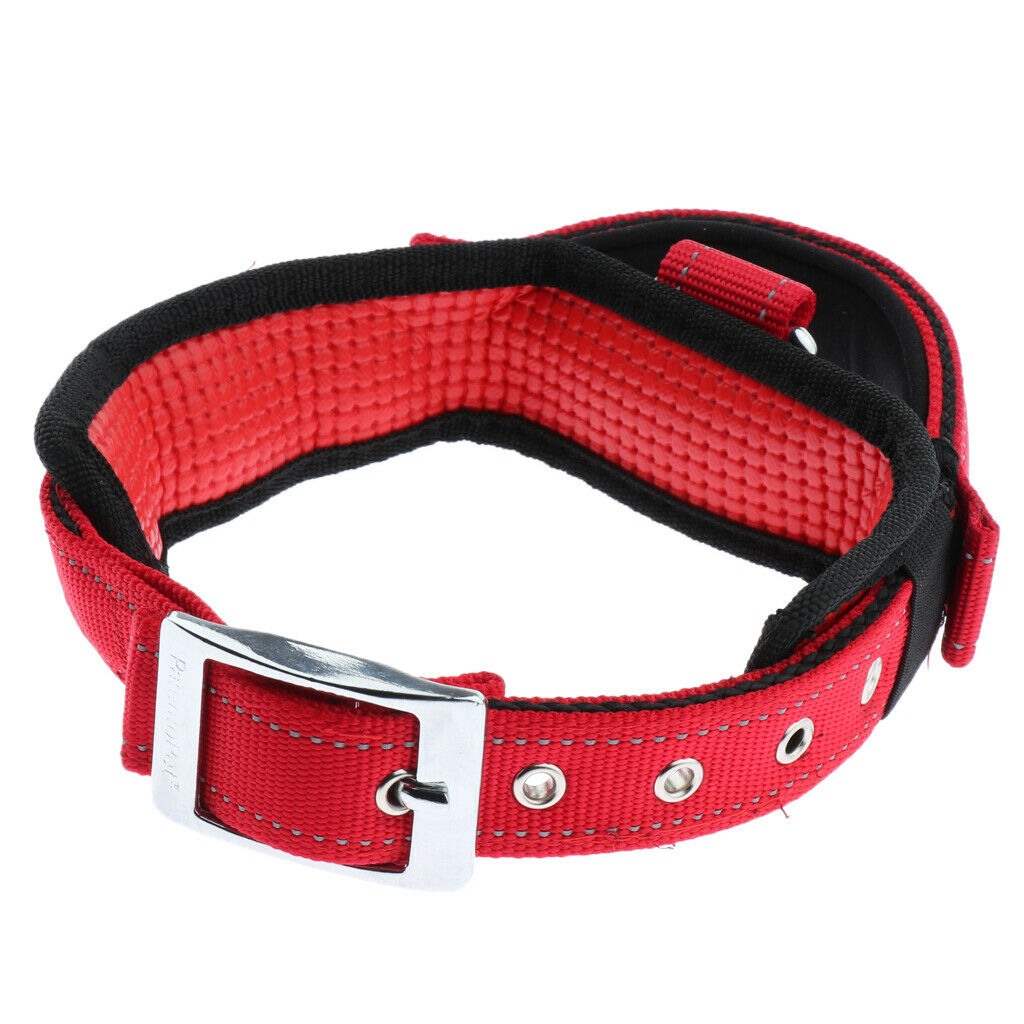 Pet Dog Collar Neck Belt with Adjustable Strap Dog Cat Pet Accessories Red