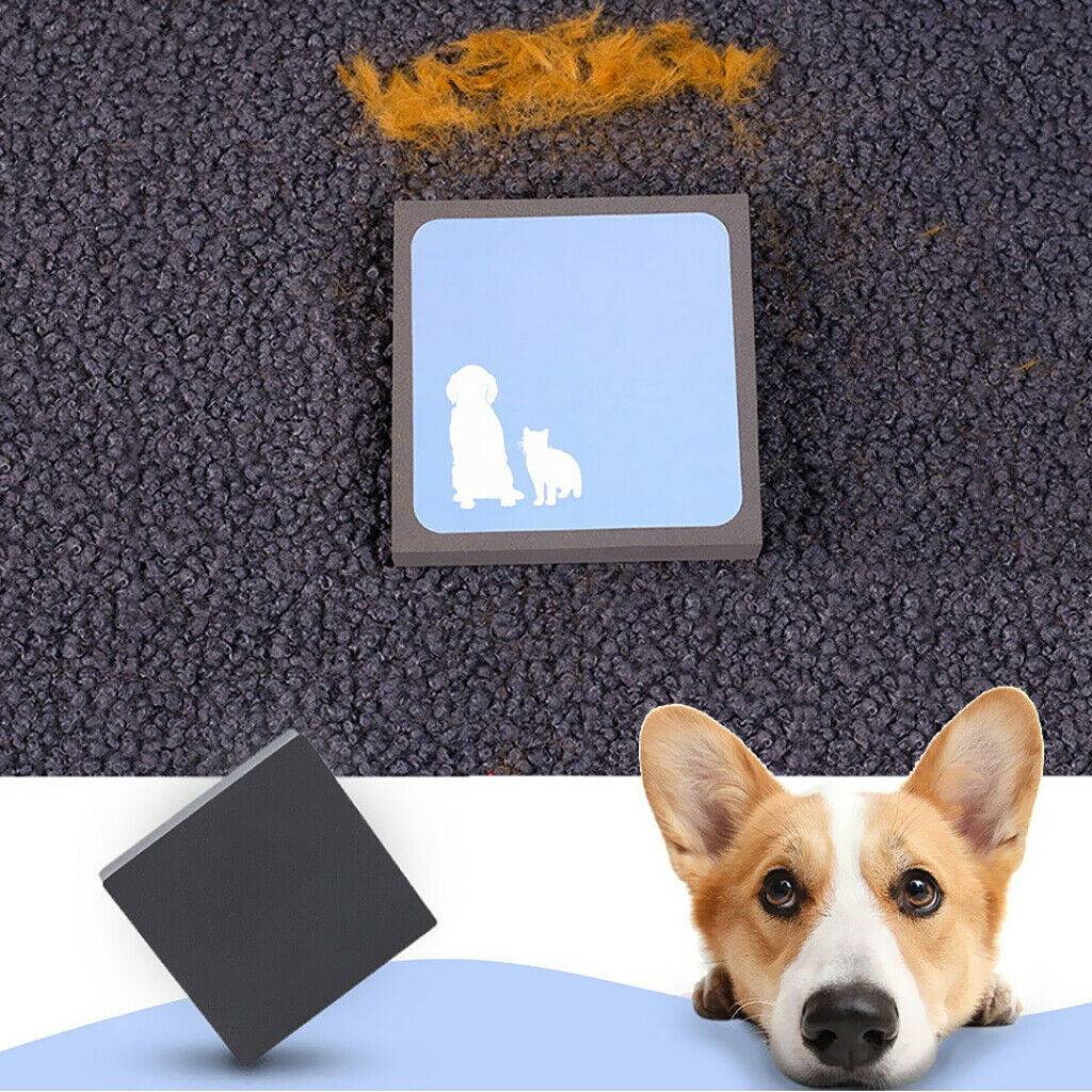 Dog Cat Hair Remover Gray For Pet Dogs Medium Dogs With Short Long Hairs