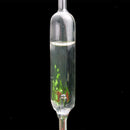 2-pack Aquarium Fish Tank Crystal Clear CO2 Monitor Checker Bubble Counter
