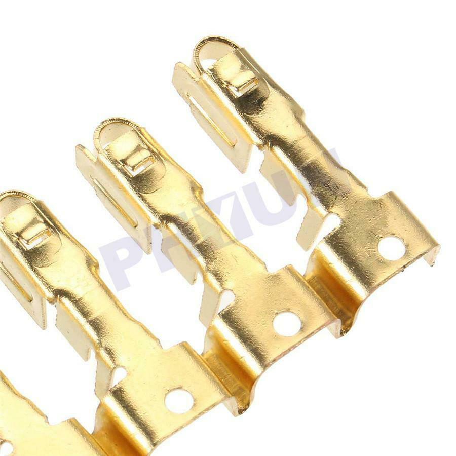 Automotive Blade Fuse Assortment Car Boat 10 Way Circuit Standard Blade Fuse Box