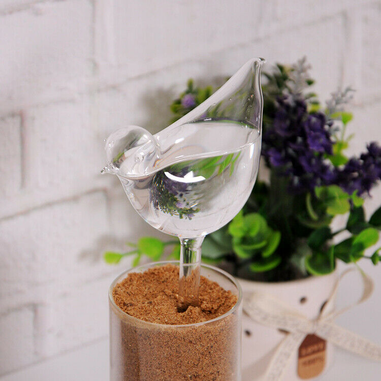 4x Glass Plant Flower Water Feeders Device Self Watering Waterer Accessories