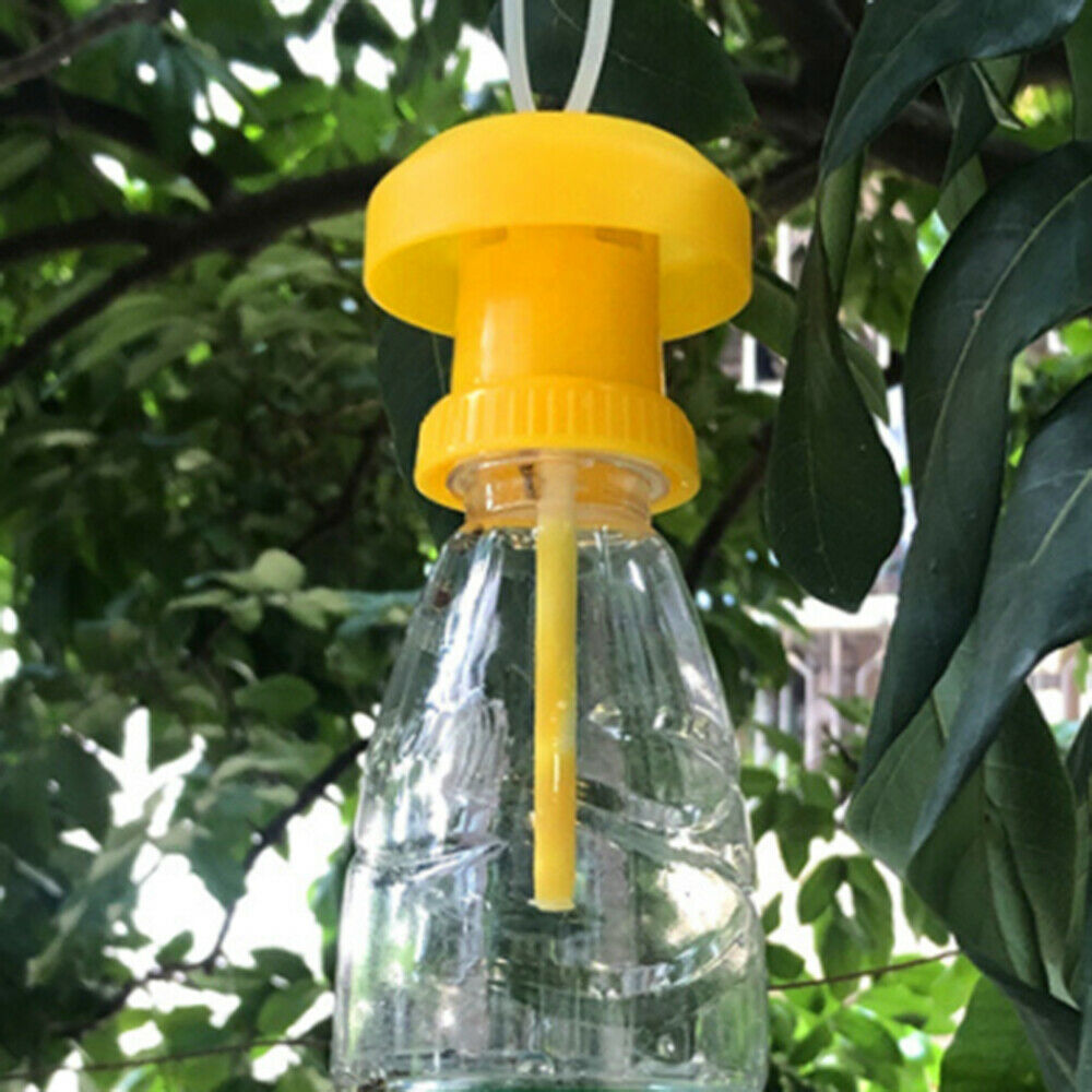 1Pcs Fruit Fly Trap Killer Insect Pest Antimosquito Farm Orchard Garden Control