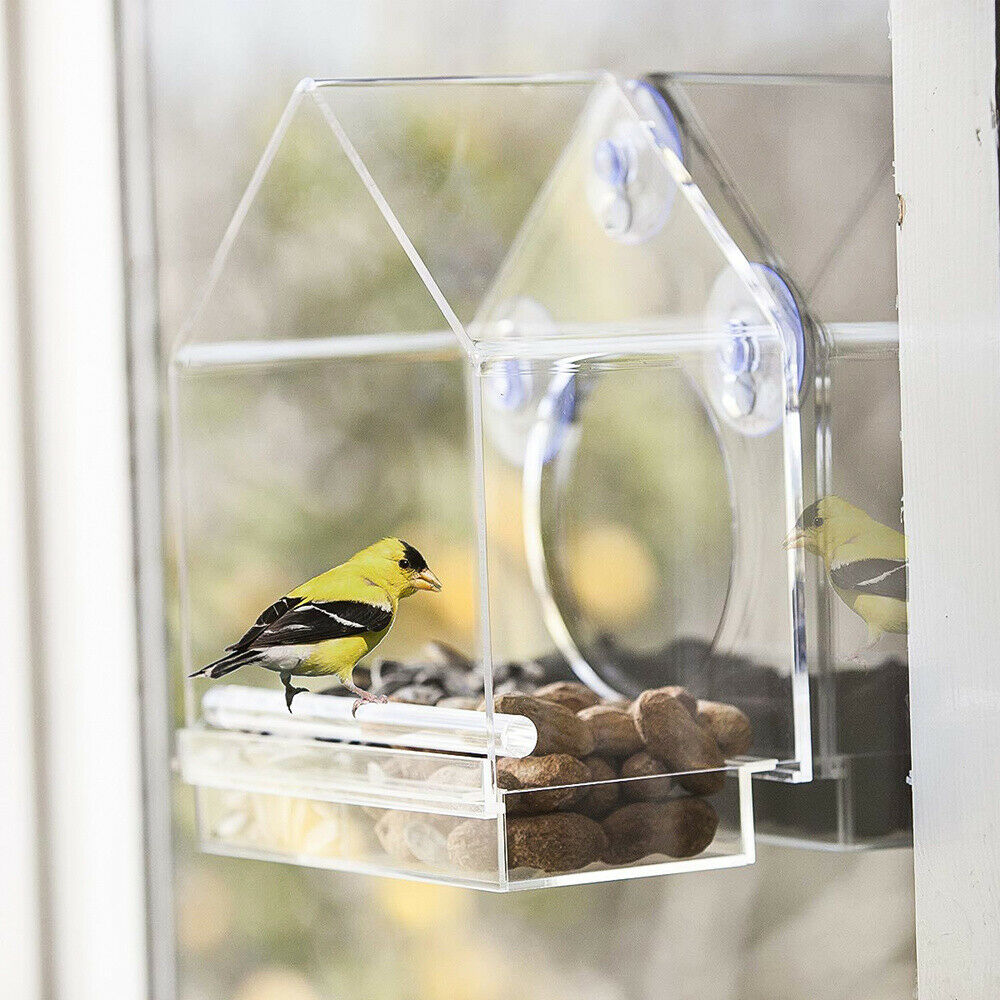 Acrylic Transparent Window Bird Feeder Large Weather Suction Cups Birds House